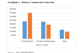 Import-Substitution : Cette politique fonctionne-t-elle au Cameroun ?