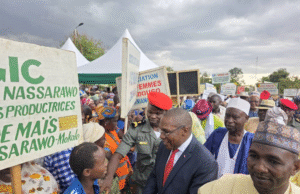 Extrême-Nord : La campagne agricole 2025 est en marche